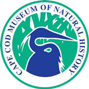 Cape Cod summer camps